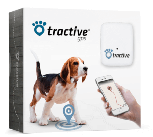 Hunde-GPS-Tracker Extratipp