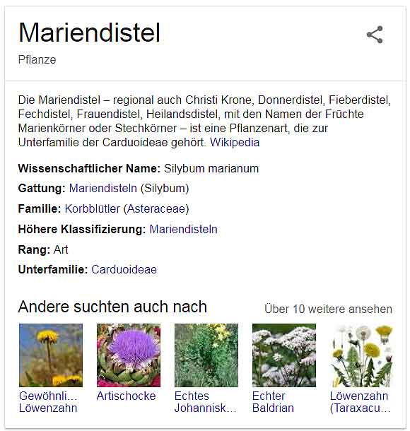 Mariendistel-Hund-Probleme-Leber-Bild-Googlesuche©